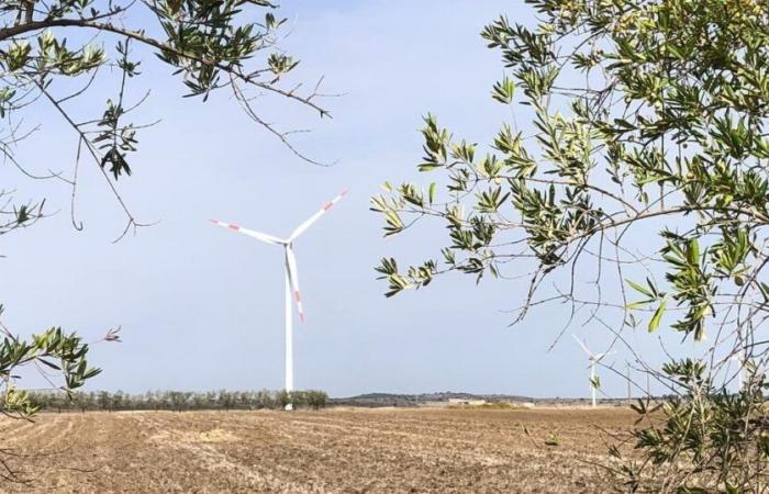 Face à la lenteur suisse, BKW mise sur l’Italie pour l’énergie éolienne