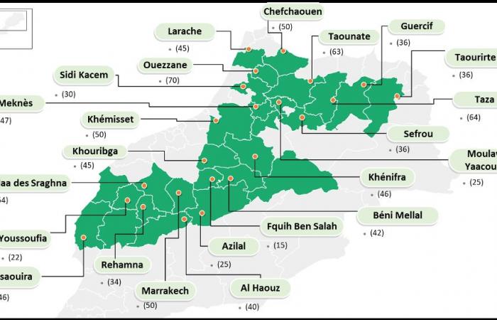 Culture de l’olivier. Évaluation de la campagne et du programme d’Al Moutmir