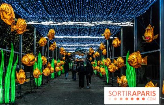 la fête des lumières 2024-2025 au Jardin des Plantes – photos