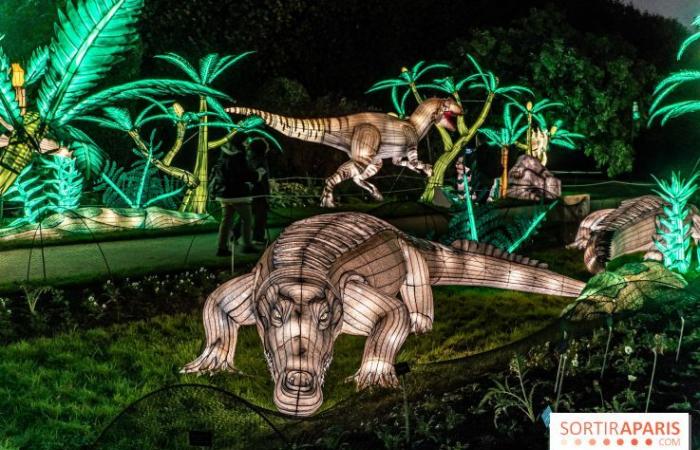 la fête des lumières 2024-2025 au Jardin des Plantes – photos