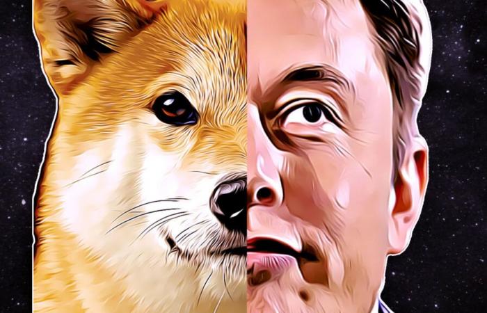 le procès contre Elon Musk concernant Dogecoin est définitivement abandonné