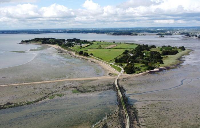 Près de Vannes, ce petit coin de paradis n’est accessible qu’à marée basse