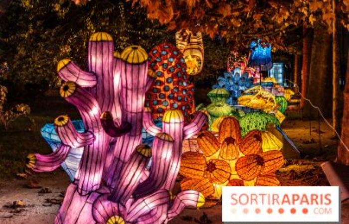 la fête des lumières 2024-2025 au Jardin des Plantes – photos