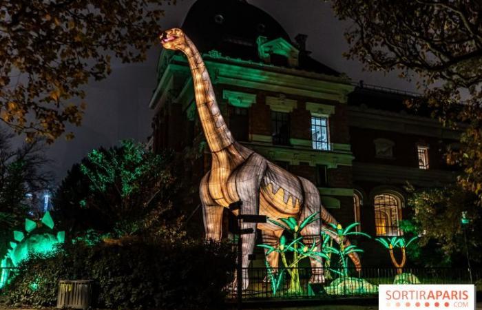 la fête des lumières 2024-2025 au Jardin des Plantes – photos