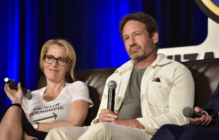 David Duchovny admet qu’il y avait des tensions avec Gillian Anderson et propose son mea culpa