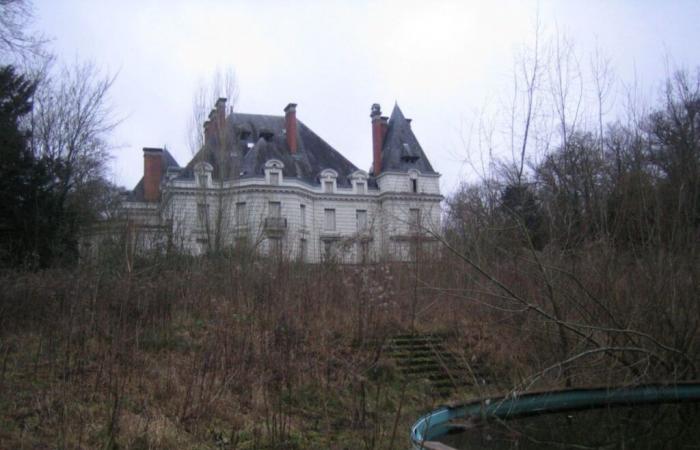 Propriété de la Ville de Paris, des projets en vue pour ce château en voie de disparition en Seine-et-Marne