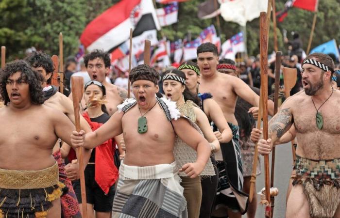 La manifestation du Haka au Parlement néo-zélandais devient virale