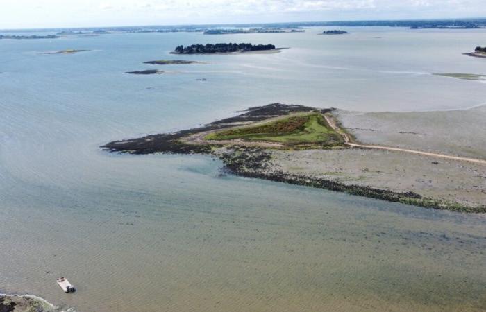 Près de Vannes, ce petit coin de paradis n’est accessible qu’à marée basse