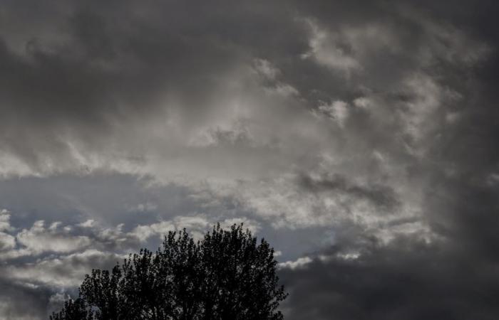 Bulletin météo. Quel temps fait-il ce samedi 16 novembre dans les Hauts-de-France ?