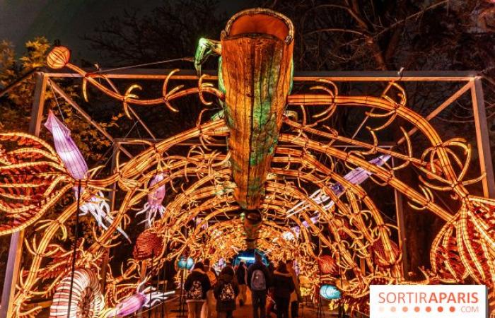 la fête des lumières 2024-2025 au Jardin des Plantes – photos