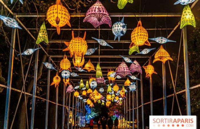 la fête des lumières 2024-2025 au Jardin des Plantes – photos