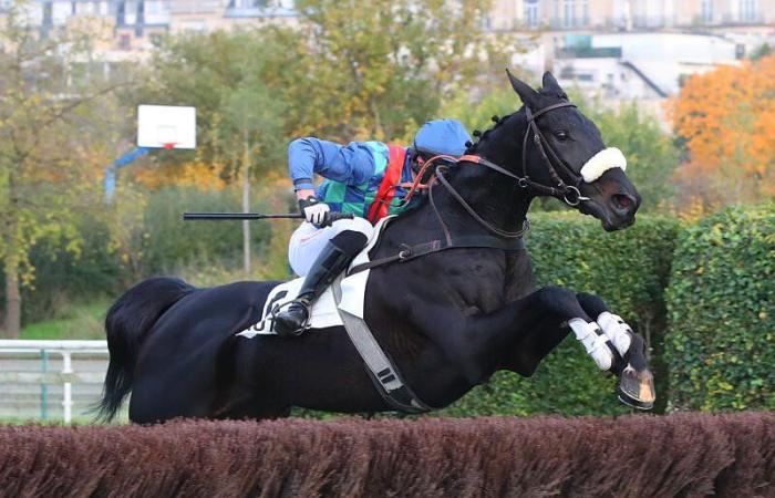 Prix ​​Serge Landon – Grand Prix d’automne : le Losange bleu règne en maître