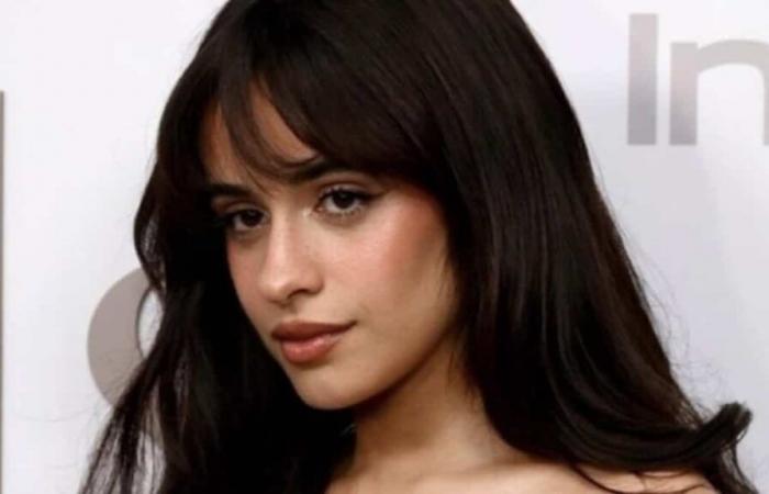 Camila Cabello fait une pause dans les réseaux sociaux et les fans ont le cœur brisé