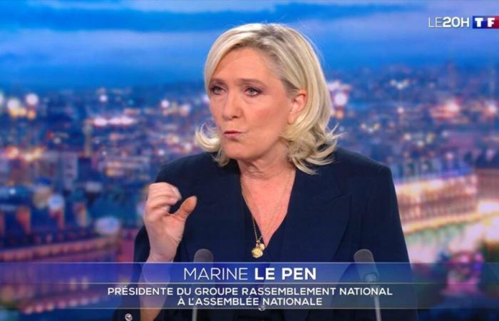 “Ma mort politique s’impose”, dénonce Marine Le Pen sur TF1