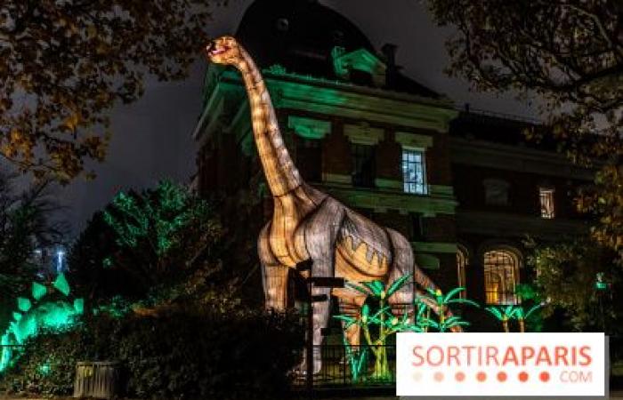 la fête des lumières 2024-2025 au Jardin des Plantes – photos