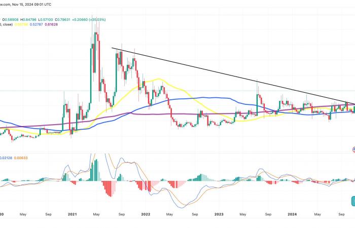 XRP surpasse le marché de la cryptographie avec une pompe de 17 % – Qu’est-ce qui motive le rallye ?