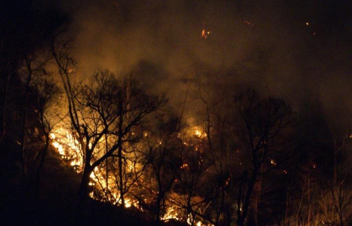 Les pompiers sont sur le point d’apprivoiser l’incendie de forêt qui traverse la frontière entre le New Jersey et New York.