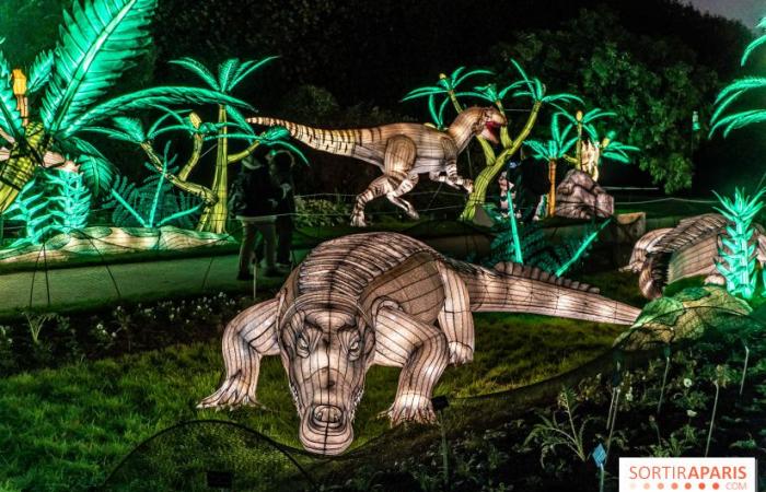 la fête des lumières 2024-2025 au Jardin des Plantes – photos