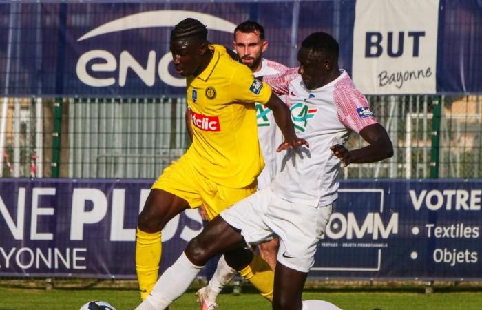 Pau se qualifie sans trop trembler à Bayonne