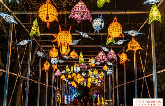 la fête des lumières 2024-2025 au Jardin des Plantes – photos