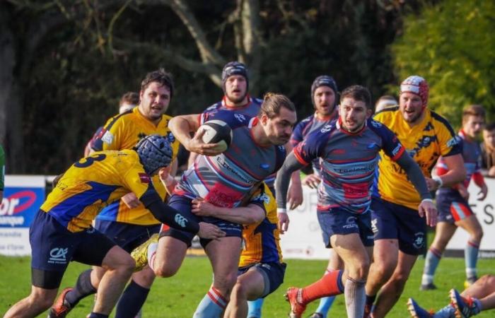 Rugby. Un match clé à venir pour le Stade Caennais