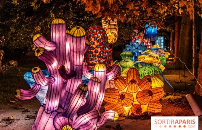 la fête des lumières 2024-2025 au Jardin des Plantes – photos