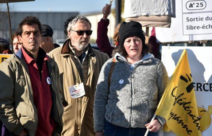 « Le traité UE-Mercosur mettra fin à l’élevage français », pour la Confédération Paysanne du Lot-et-Garonne