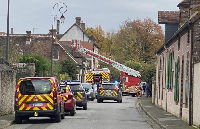 Incendie d’une maison dans l’Orne, aucun blessé mais un chat mort et douze autres récupérés