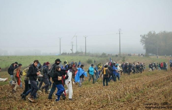 graines semées par les manifestants