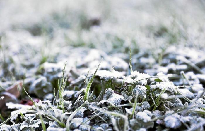 va-t-il neiger en Bretagne la semaine prochaine ?