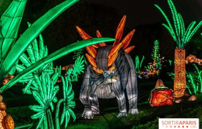 la fête des lumières 2024-2025 au Jardin des Plantes – photos