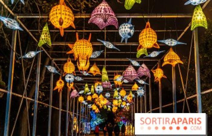 la fête des lumières 2024-2025 au Jardin des Plantes – photos