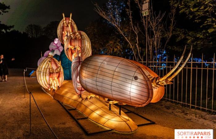 la fête des lumières 2024-2025 au Jardin des Plantes – photos