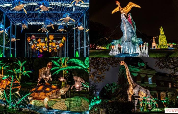 la fête des lumières 2024-2025 au Jardin des Plantes – photos