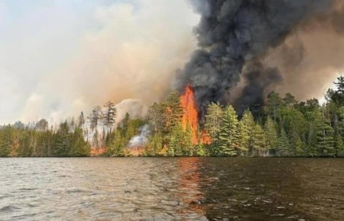 Un homme d’Ottawa plaide coupable en lien avec l’incendie de forêt du lac Centennial