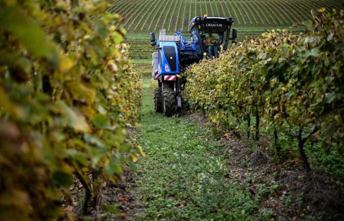 « Il est impératif que les aides soient allouées à des pratiques agricoles respectueuses de l’environnement et de la santé humaine »