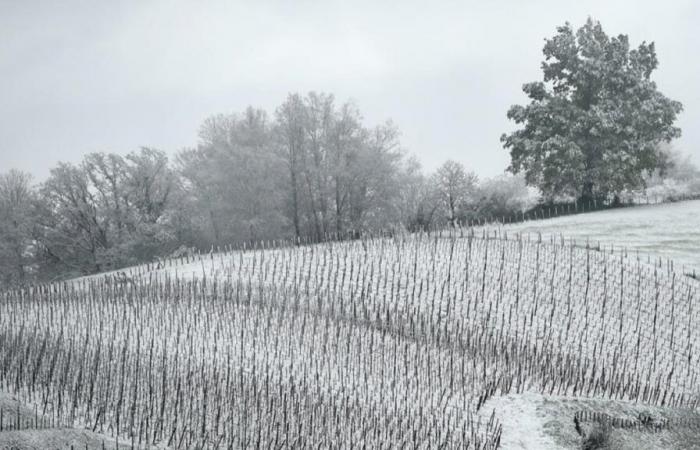 pourquoi les flocons de neige pourraient tomber jusqu’aux plaines la semaine prochaine, selon les prévisions