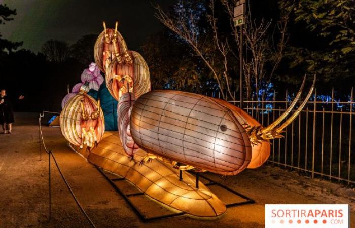 la fête des lumières 2024-2025 au Jardin des Plantes – photos