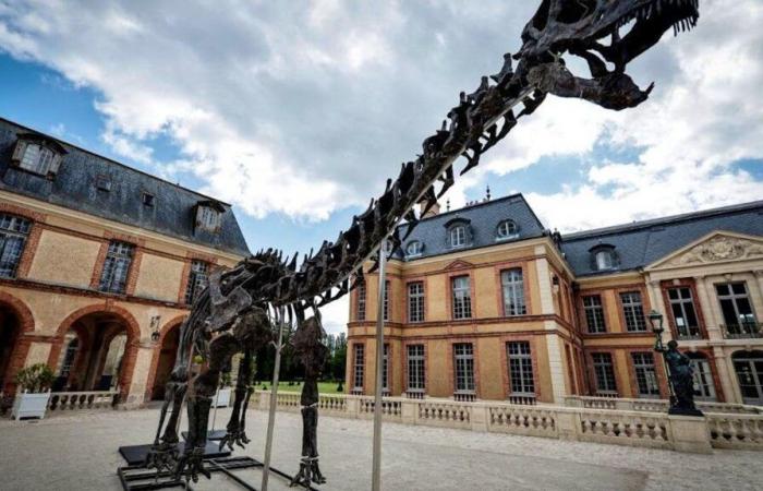 Un squelette de dinosaure géant vendu 6 millions d’euros