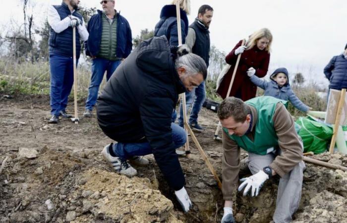 Bouches du Rhône. Glenn Viel, chef trois étoiles, travaille sur la Montagnette dévastée par un incendie