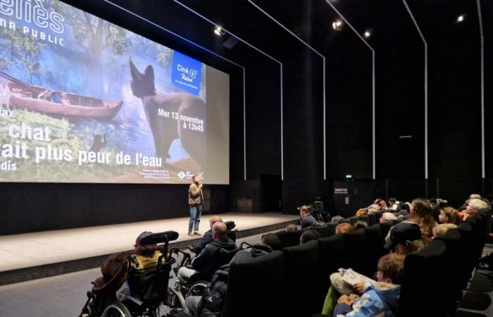 à Montreuil, des séances de cinéma adaptées aux personnes en situation de handicap