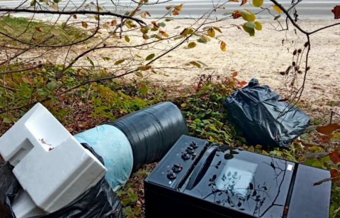 Houtaud. Une énième décharge sauvage observée en lisière de forêt