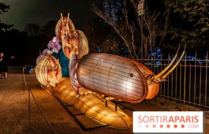 la fête des lumières 2024-2025 au Jardin des Plantes – photos