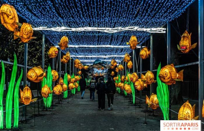 la fête des lumières 2024-2025 au Jardin des Plantes – photos