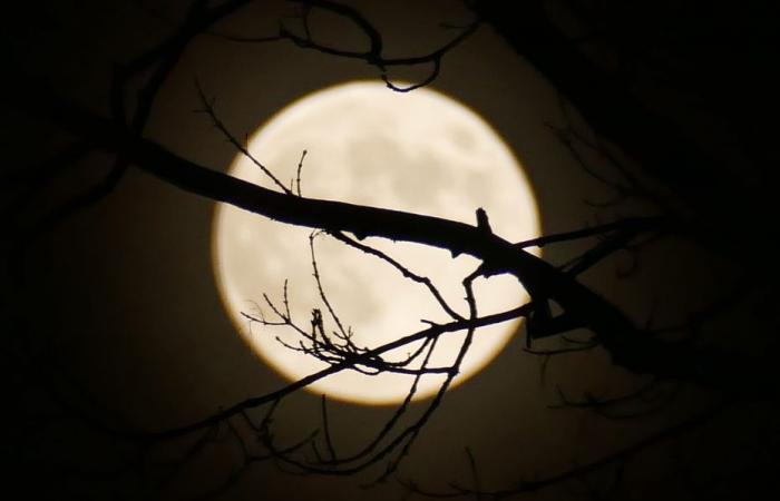 PHOTOS. La dernière « Super Lune » de l’année a illuminé le ciel, un spectacle saisissant dans le ciel nocturne