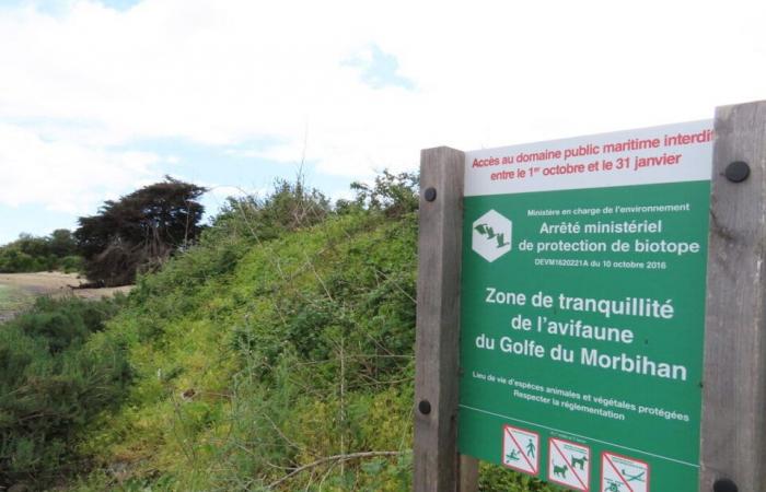 Près de Vannes, ce petit coin de paradis n’est accessible qu’à marée basse