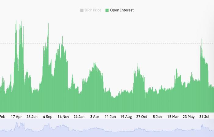 XRP surpasse le marché de la cryptographie avec une pompe de 17 % – Qu’est-ce qui motive le rallye ?