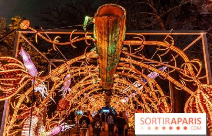 la fête des lumières 2024-2025 au Jardin des Plantes – photos