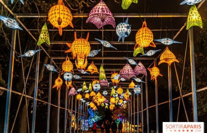 la fête des lumières 2024-2025 au Jardin des Plantes – photos