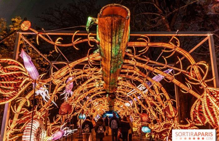 la fête des lumières 2024-2025 au Jardin des Plantes – photos